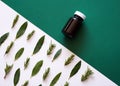 Herbal versus chemical medicine - alternative remedies flat lay comparison Royalty Free Stock Photo