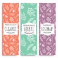 Herbal vertical banners with organic herbal rosemary valuable for human health Royalty Free Stock Photo