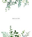 Herbal vertical vector frame. Hand painted plants, branches, leaves on a white background