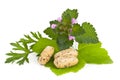 Herbal vitamin and supplement pills with herbs
