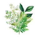 Herbal watercolor bouquet with ferns and adiantum Royalty Free Stock Photo