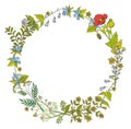 Herbal wreath. Color botanical empty round frame