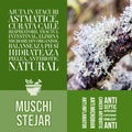 Muschi de stejar - herbalist advise with herbs benefits tile wall decor