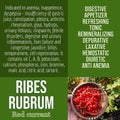 herbalist advise in natural remedies of Red currant Ribes rubrum benefits