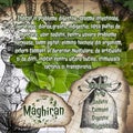 Maghiran vintage herbalist notebook pages with herbs benefits in Ro language