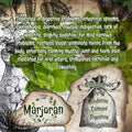 Marjoran vintage herbalist notebook pages with herbs benefits