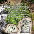 Thyme vintage herbalist notebook pages with herbs benefits
