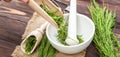 Herbalist pours dried cut medicinal Equisetum arvense, the field horsetail or common horsetail herb into an apothecary Royalty Free Stock Photo