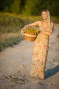 An herbalist walks down a sandy road with a basket full of herbs toward the camera. Goldenrod and winterflower.