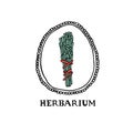 Herbarium concept. Sage bundle with hand written lettering