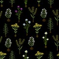 Herbarium flowers with roots, seamless pattern