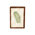 Herbarium in frame on white background. Picture concept.