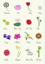 Herbarium page with flowers Royalty Free Stock Photo