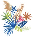 herbarium of tropical dried flowers painted in gouache isolated on a white background