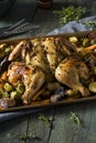 Herbed Baked Spatchcock Chicken Royalty Free Stock Photo