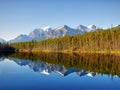 Herbert Lake, Banff Np, Alberta, Canada Royalty Free Stock Photo