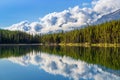 Herbert Lake Mountain Reflections In Banff Royalty Free Stock Photo