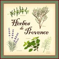 Herbes de Provence, Traditional French Herb Blend