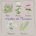 Herbes de Provence.