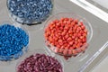 Herbicide-treated sunflower and corn seeds in a Petri dish on a metal tray