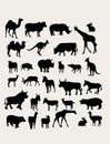 Herbivorous Silhouettes