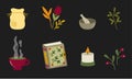 Herbology set design elements. Medical, magical herbs and tools in a cartoon flat style Royalty Free Stock Photo