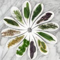 Herbs Royalty Free Stock Photo