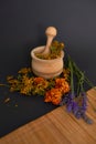 Herbs for alternative medicine