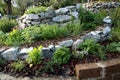 Herbs and aromatic plants spiral garden bed Royalty Free Stock Photo