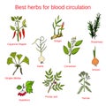 Herbs for blood circulation