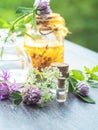 Herbs, bottles on wooden background. Alternative Medicine, Natural Healing Royalty Free Stock Photo