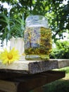 Herbs, bottles on wooden background. Alternative Medicine, Natural Healing Royalty Free Stock Photo