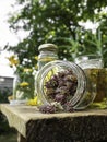 Herbs, bottles on wooden background. Alternative Medicine, Natural Healing Royalty Free Stock Photo