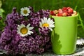 Herbs bouquet and cup of wild strawberry Royalty Free Stock Photo