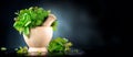 Herbs. Bunch of Fresh green organic aromatic herb leaves in wooden mortar with pestle over black background