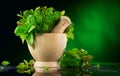 Herbs. Bunch of Fresh green organic aromatic herb leaves in wooden mortar with pestle over dark background Royalty Free Stock Photo