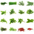 Herbs Collection