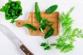 Herbs Culantro and mint herbs on a wooden cutting board Royalty Free Stock Photo