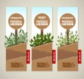 Herbs de Provence banners