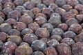 Herbs: Dried high juniper berries Royalty Free Stock Photo