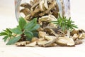 Herbs and dried mushrooms - boletus Royalty Free Stock Photo