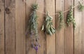 Garden herbs hung up to dry