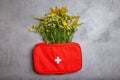 Herbs in first aid kit. First aid kit with herbs natural remedies Royalty Free Stock Photo