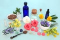 Herbs and Flowers for Alternative Wicca Health Remedies