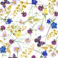 Herbs and flowers with butterfly background. watercolor illustration Royalty Free Stock Photo