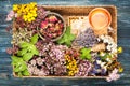 Herbs and flowers, honey and herbal tea Royalty Free Stock Photo