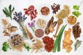 Herbs Flowers and Spices used in Alternative Herbal Medicine Royalty Free Stock Photo