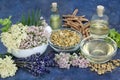 Herbs and Flowers to Heal Anxiety and Insomnia