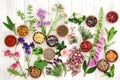 Herbs and Flowers for Herbal Medicine Royalty Free Stock Photo