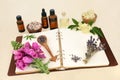 Herbs and Flowers used in Naturopathic Herbal Medicine Royalty Free Stock Photo